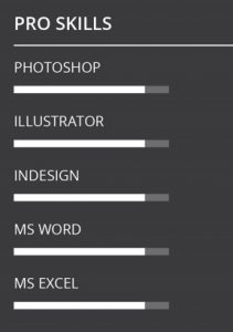 Skills visualization with progress bars in CV